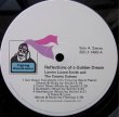 画像4: LONNIE LISTON SMITH & THE COSMIC ECHOES / REFLECTIONS OF A GOLDEN DREAM